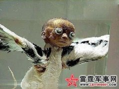 长翅膀的人形怪物 不知是天使还是恶魔